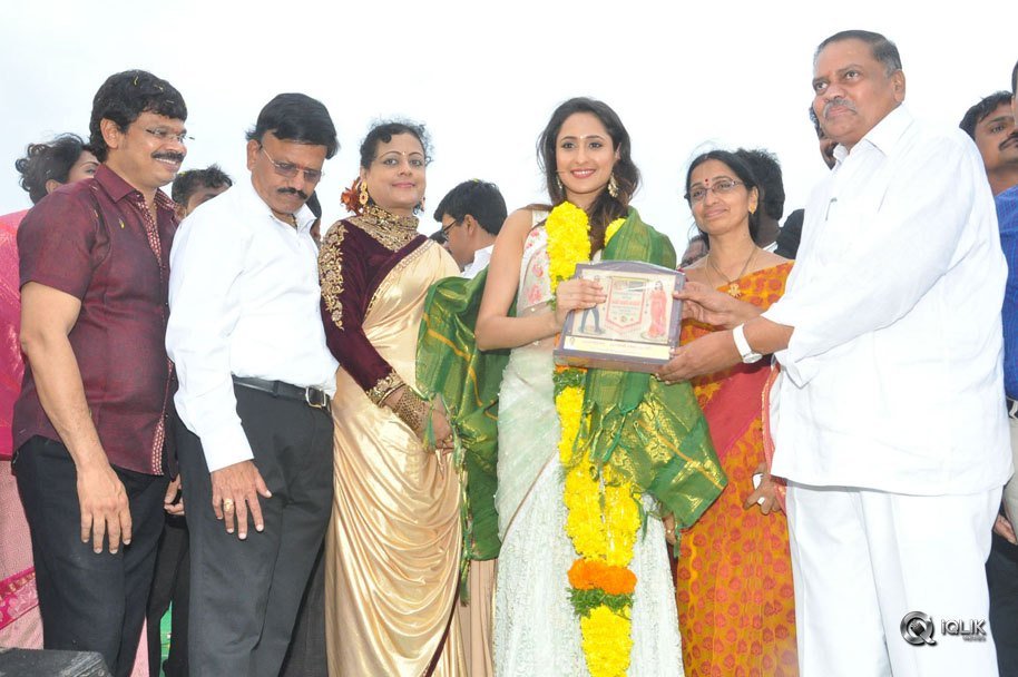 Jaya-Janaki-Nayaka-Movie-Vijayotsava-Veduka-At-Hamsala-Deevi